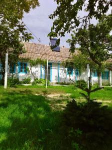 dom z dachem w ogrodzie w obiekcie Casa Batranului Pescar - Old Fisherman's House w mieście Jurilovca