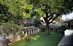 una casa con un patio verde con un árbol en Tamarind Village, en Chiang Mai