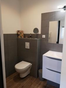 uma casa de banho com um WC e um lavatório em Hossegor Les Bécasses em Soorts-Hossegor