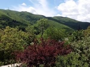 a view of auliculiculiculiculiculiculiculiculiculiculiculic at Best Host in Sighnaghi