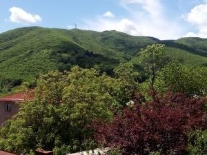 a view of a mountain with trees and a house at Best Host in Sighnaghi
