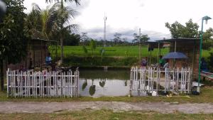 ein Tor vor einem Wasserkörper in der Unterkunft Herry Home Stay_Jogja in Yogyakarta