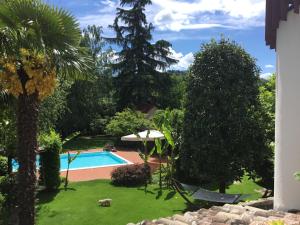 a pool in a yard with trees and a palm tree at La Pergola B&B in Cesena