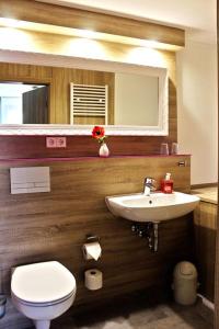 a bathroom with a sink and a toilet and a mirror at Ferienwohnungen "Am Mühlteich" in Radeburg