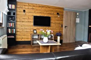 - un salon avec un canapé et une télévision sur un mur en bois dans l'établissement Ferienwohnungen "Am Mühlteich", à Radeburg
