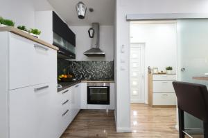 Kuchyňa alebo kuchynka v ubytovaní Shine apartment Zadar