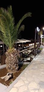 Fotografie z fotogalerie ubytování SEA VIEW APARTMENTS Aphrodite v destinaci Leptokaria
