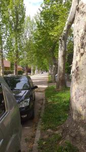 two cars parked next to a tree on a street at Heni Apartman in Nagykanizsa