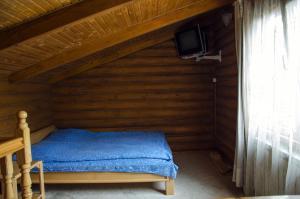 Schlafzimmer mit einem blauen Bett und einem TV in der Unterkunft Dvorik in Czernowitz