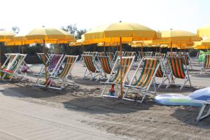 una fila di sedie a sdraio e ombrelloni su una spiaggia di Bubble Room Tuscany a Marina di Bibbona