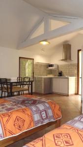 a large room with two beds and a kitchen at Lou Pichoun Jas in Cavaillon