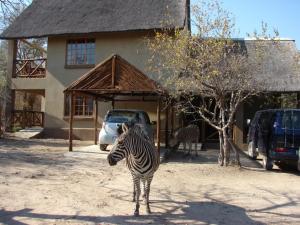 Afbeelding uit fotogalerij van 677Hornbill in Marloth Park