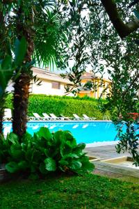 a swimming pool in front of a house with trees at Hotel San Giorgio in Arco