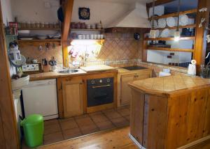 Kuchyň nebo kuchyňský kout v ubytování Apartment Ernestova hiša