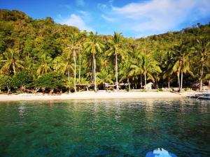una spiaggia con palme e una barca in acqua di Coconut Garden Island Resort a San Vicente