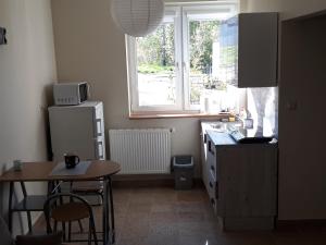 Кухня или кухненски бокс в Apartament Pod Śnieżką