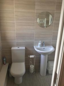 a bathroom with a toilet and a sink and a mirror at The Loft Guest Apartment in Portstewart