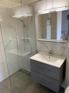 a bathroom with a shower and a sink and a mirror at Résidence Colombara in Cargèse