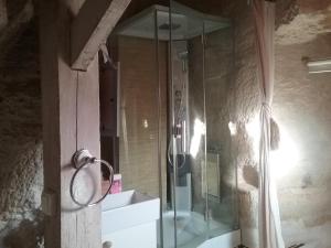 La salle de bains est pourvue d'une douche en verre. dans l'établissement Troglodyte loft, à Thoré-la-Rochette