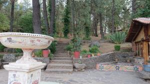 Zahrada ubytování Cabañas Tapalpa Sierra del Tecuan, Cabaña Conejo