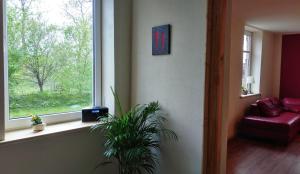 ein Wohnzimmer mit Fenster und einer Pflanze in der Unterkunft Marschperle in Neuendorf-Sachsenbande