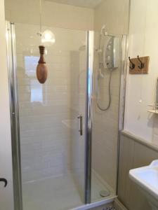 a shower with a glass door in a bathroom at The Mews, Talley in Llandeilo