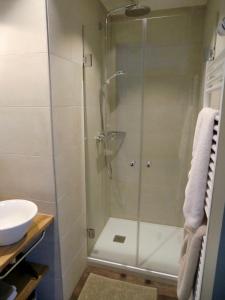 イッタースヴィラーにあるGîte FLEUR DE VIGNESのバスルーム(ガラスドア付きのシャワー付)