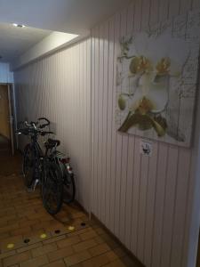 Jízda na kole v ubytování Spreewald Ferienwohnung Wollgast nebo okolí