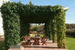 A garden outside Playa Paraiso 27A