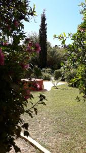 a garden with a bench and some flowers and trees at Villa De Loulia in Peroulades