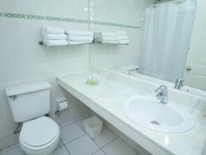 A bathroom at Apart Hotel Diego De Almagro