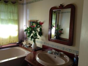 ein Badezimmer mit einem Waschbecken, einer Badewanne und einem Spiegel in der Unterkunft Italian Guesthouse in Gros Islet