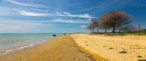 a sandy beach with trees and the ocean at Augusta Apartment in Bibione
