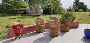 - un ensemble de chaises en osier assises sur une terrasse dans l'établissement Aux Oliviers, à Homps