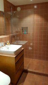 a bathroom with a shower and a sink and a toilet at Monami Apartments Klosters, Apt. Solavers No 1 in Klosters