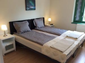 duas camas num quarto com duas lâmpadas em Biro Apartman em Zalakaros