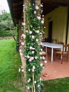 Giardino di The Grapevine by MANVI