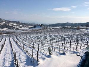 Paesaggio naturale nelle vicinanze del bed & breakfast