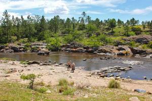 two people standing on the shore of a river at Cabañas Cangas de Onis MAYU SUMAJ in Villa Icho Cruz