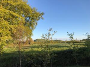 a green field with trees and a blue sky at Yurt with Hot Tub near Hartington, Peak District in Buxton