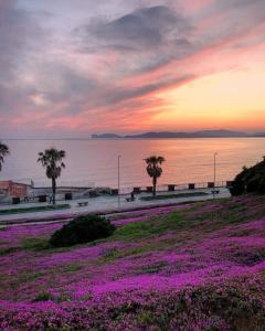 Paesaggio naturale nelle vicinanze del bed & breakfast