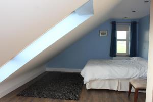 a bedroom with blue walls and a bed with a window at The Doc's self catering in Greencastle