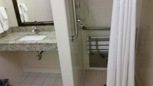 een badkamer met een wastafel en een douche bij AmericInn by Wyndham Baldwin in Baldwin