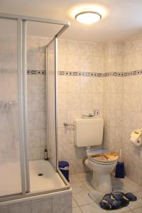 a bathroom with a toilet and a shower at Ferienwohnung Lumme in Poppenbüll