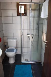 a bathroom with a toilet and a glass shower at Afrodites Residence Triopetra in Triopetra +18 photos