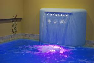 a pool of water with a shower in a room at Hotel Aurora in Misano Adriatico