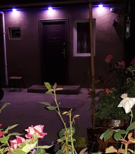 a purple house with a purple door and lights at Galavani in Tbilisi City