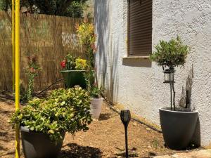 Fotografie z fotogalerie ubytování Afrodites Residence Triopetra v destinaci Triopetra + 18 fotografií