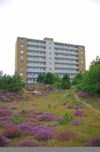 a building on top of a field of purple flowers at Haus Dünenbake, Ferienwohnung Strandpeter Wohnung 13 in Sankt Peter-Ording