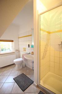 uma casa de banho com um chuveiro, um WC e um lavatório. em Gästehaus Andresen-Warft em Tating